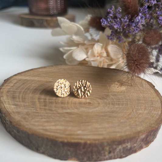 Boucles d'oreilles ERQUY